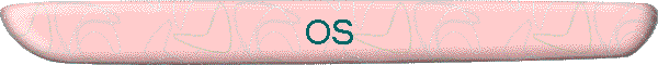 OS