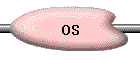 OS