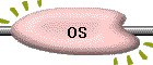 OS